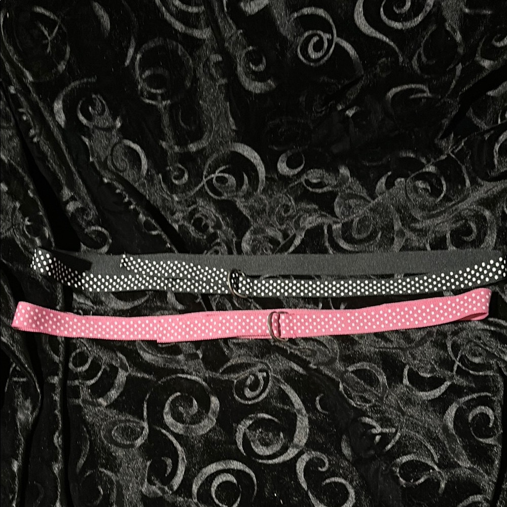 Retro Ribbon Belts